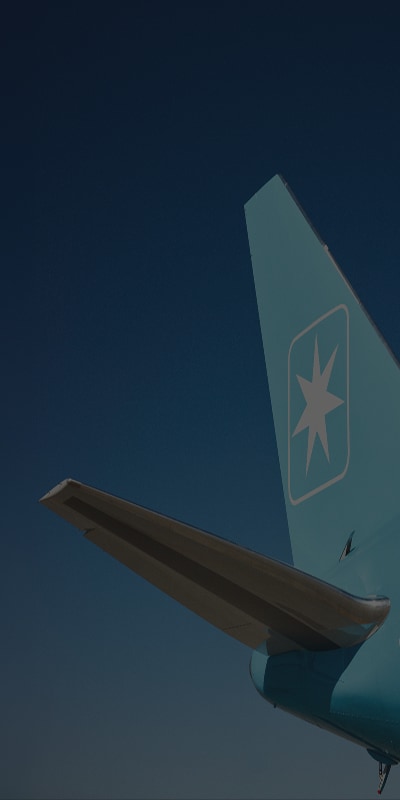 东升国际空运和服务