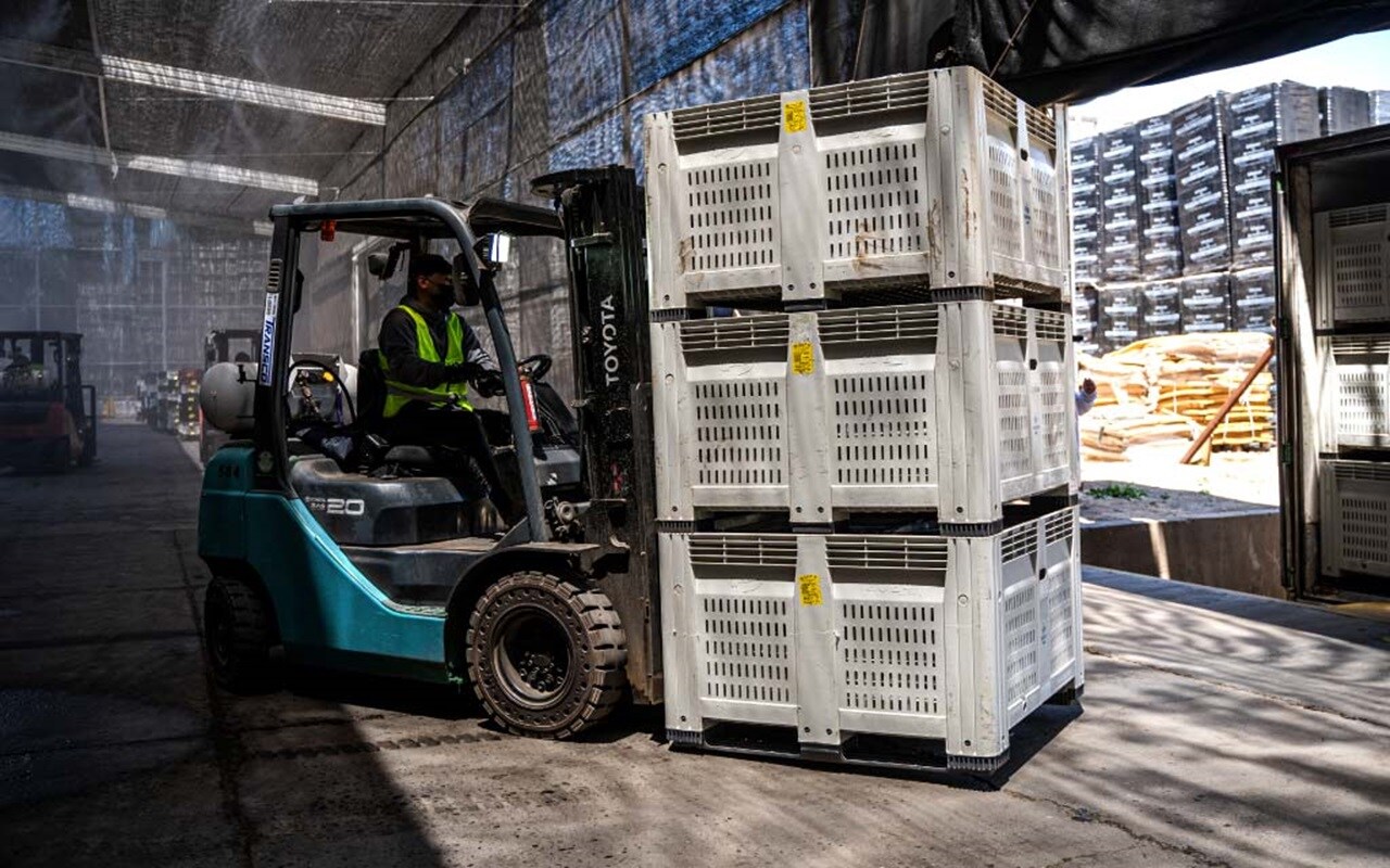 Worker operating a forklift to move stacked plastic crates.