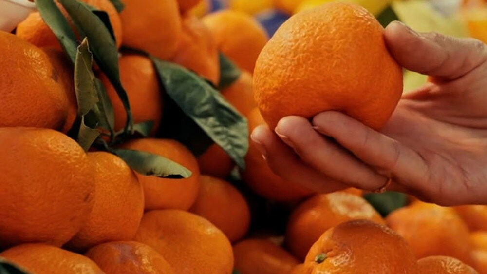 Cold chain transport - Close-up of oranges — a perishable fruit.
