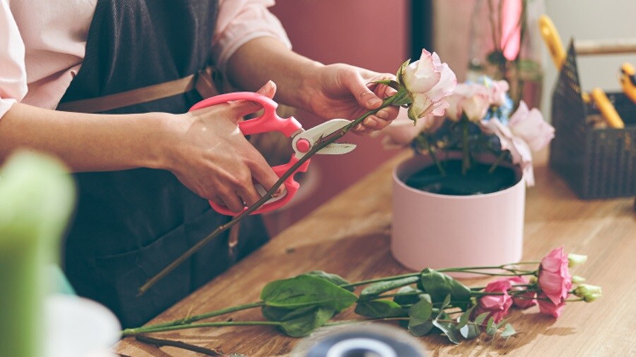 Female trimming the rose stem