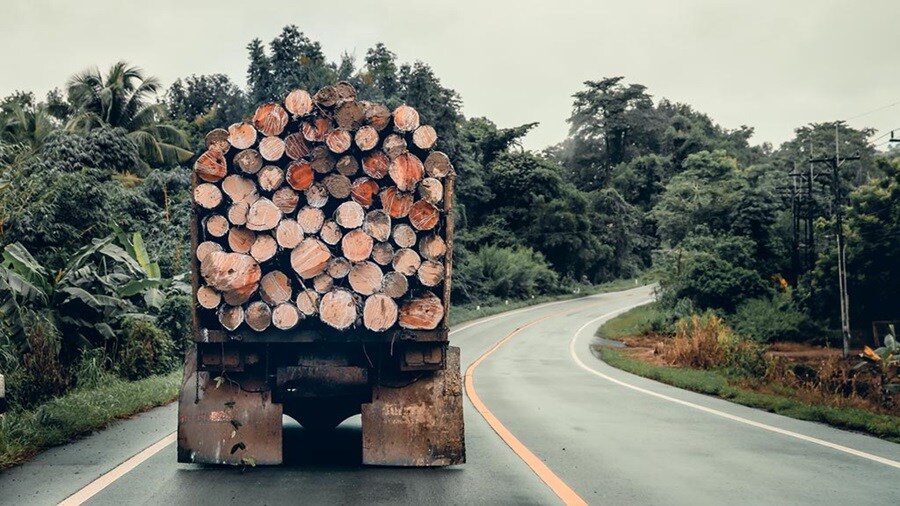 Truck carrying logs of wood on the road