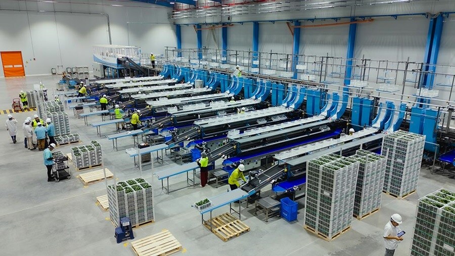 Olmos Packing and Cold Chain Logistics Facility