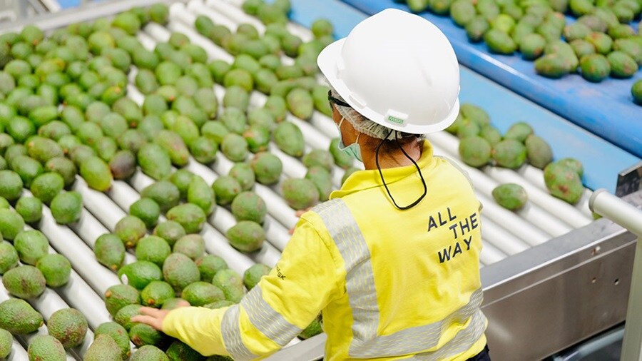 Olmos Packing and Cold Chain Logistics Facility