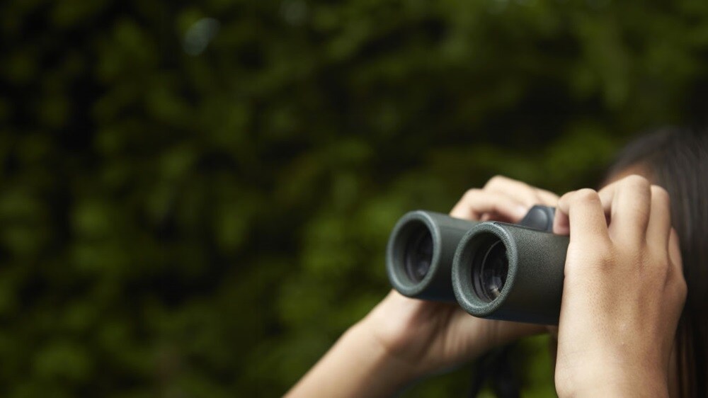 碳排放仪表盘主页图片